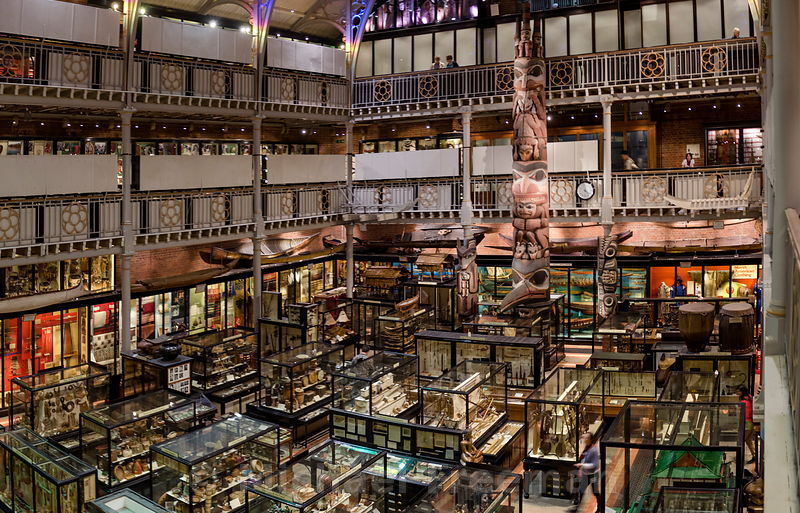 Pitt Rivers Museum em Oxford Pitt Rivers Museum em Oxford