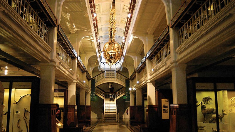Museu de Manchester Museu de Manchester