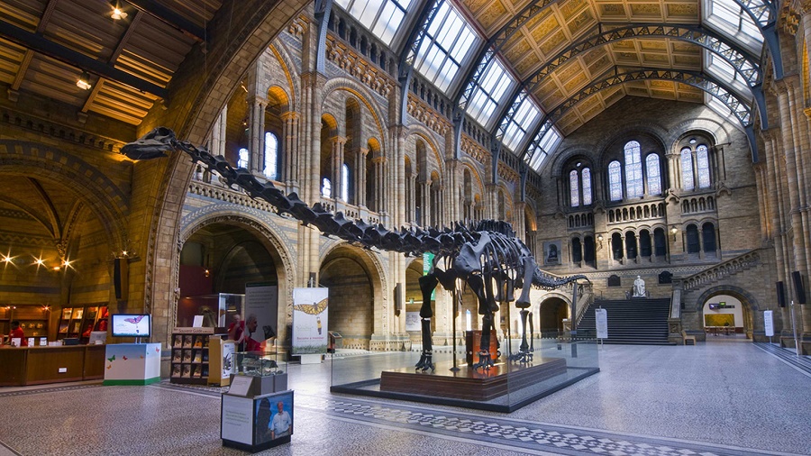 Natural History Museum em Londres