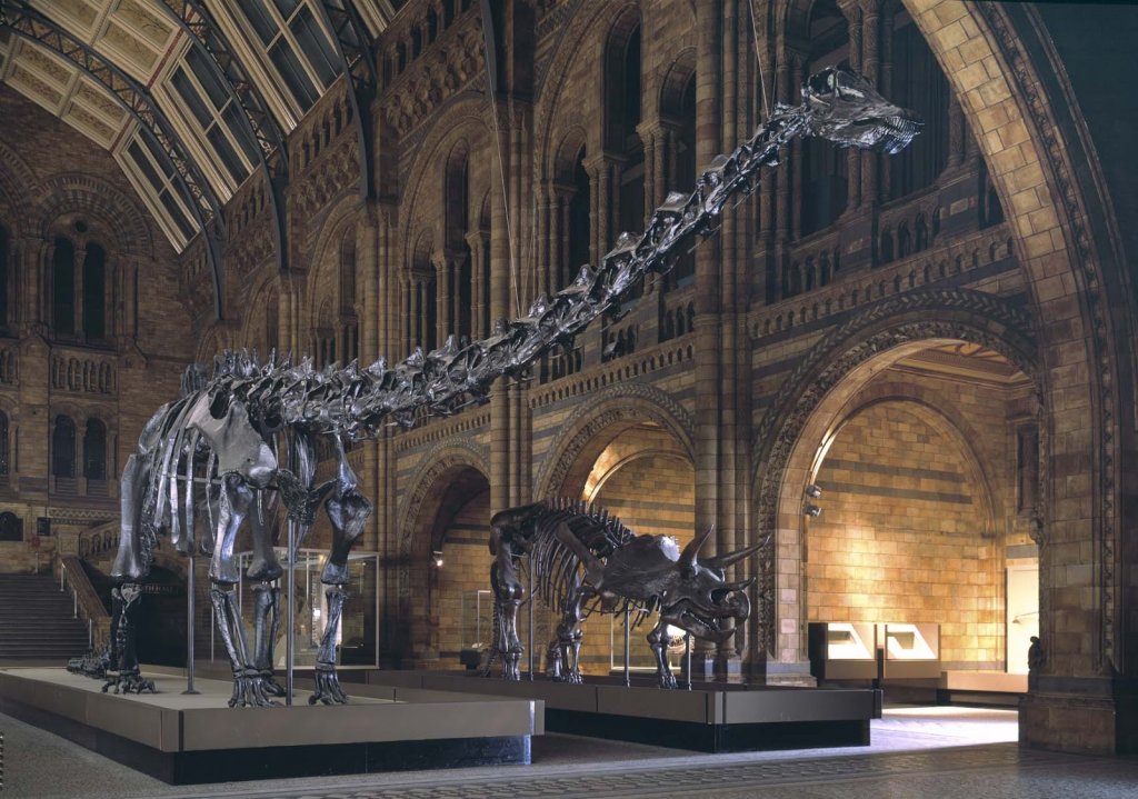 Museu de História Nacional em Londres Museu de História Nacional em Londres