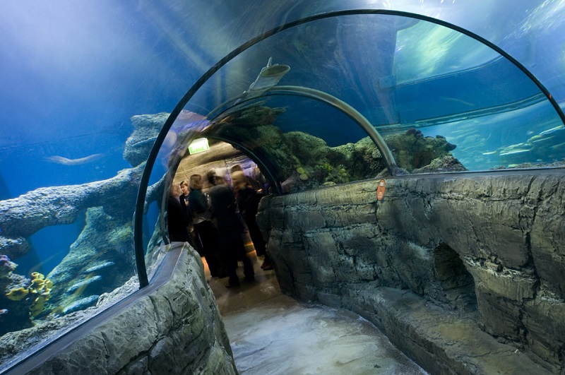 London Sea Life Aquarium London Sea Life Aquarium