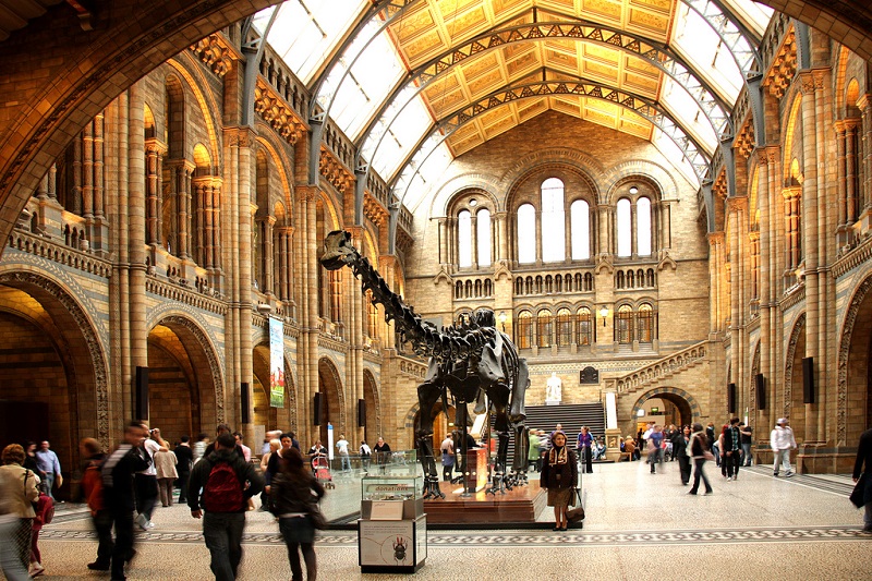 Natural History Museum em Londres Natural History Museum em Londres