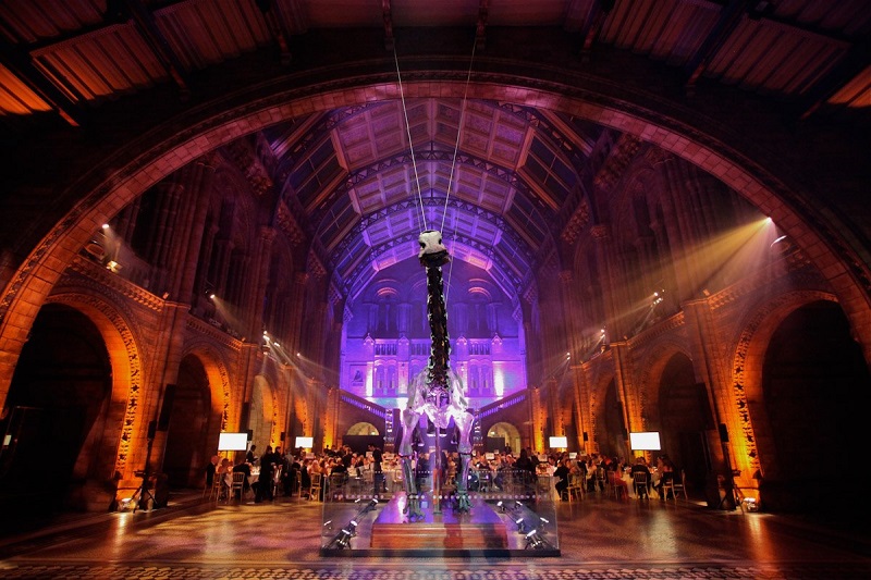 Visitar museus à noite em Londres Visitar museus à noite em Londres