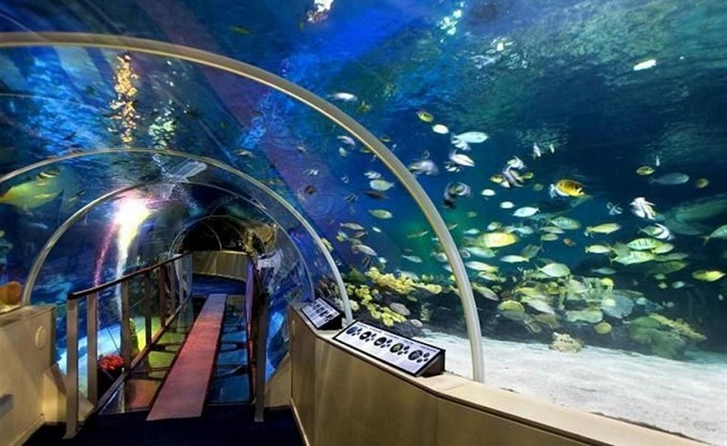 Sobre o Sea Life de Londres Sobre o Sea Life de Londres